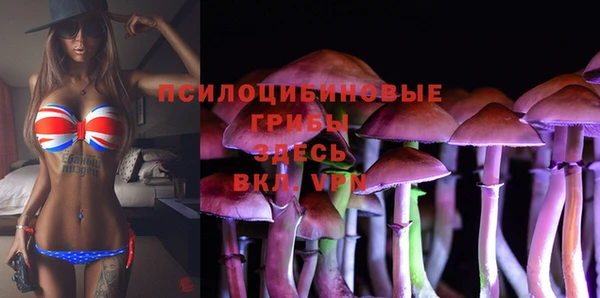 соль курить ск Сосновка