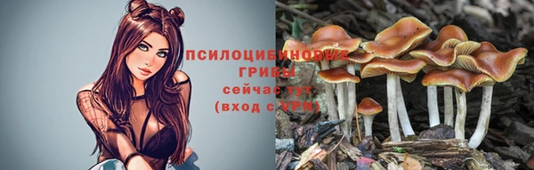 скорость Вяземский