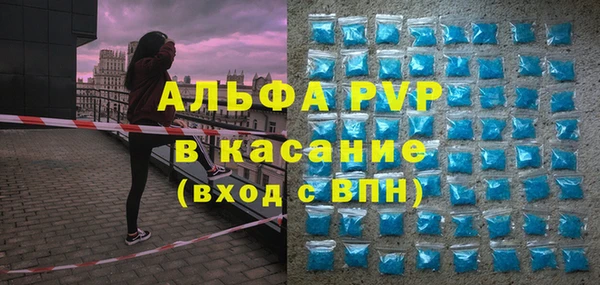 индика Верхний Тагил