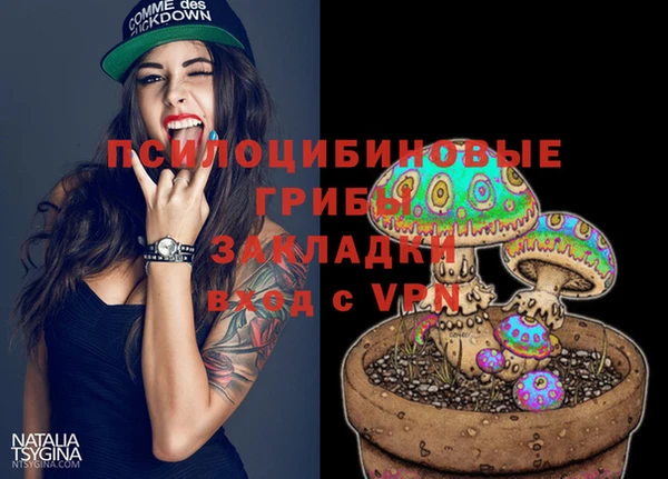 скорость Вяземский