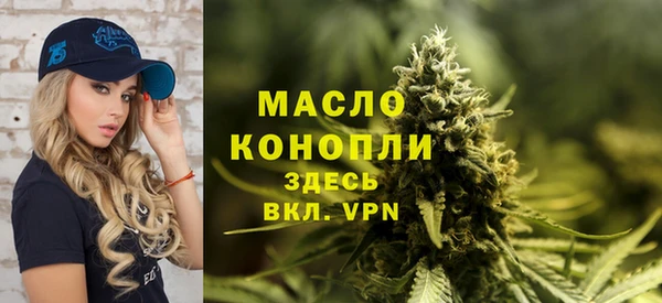 скорость Вяземский